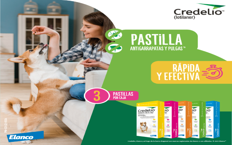 Credelio_800x500